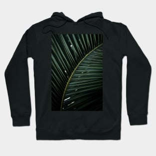 Banana Leaf Hoodie